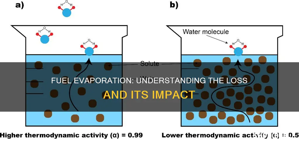 how much does fuel evaporate