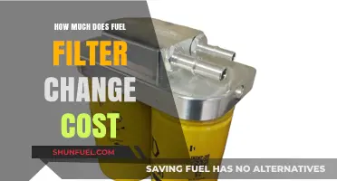 Fuel Filter Replacement: Cost and When to Change It