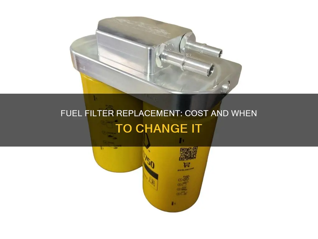 how much does fuel filter change cost