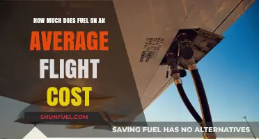 Fuel Costs: The Price of Keeping Planes Airborne