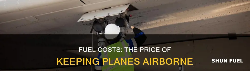 how much does fuel on an average flight cost