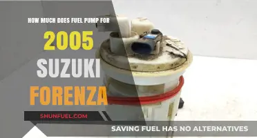 Fuel Pump Replacement Cost for Suzuki Forenza