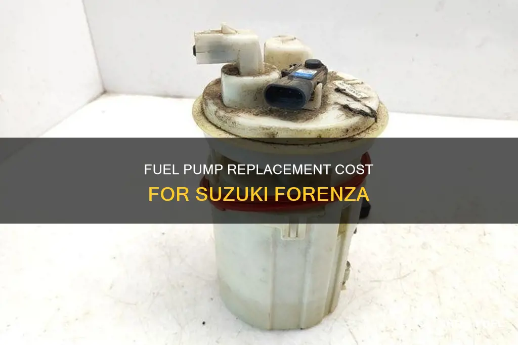 how much does fuel pump for 2005 suzuki forenza