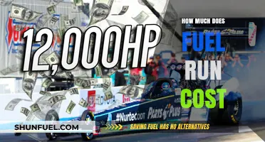 Fuel Run Costs: How Much Does It Take to Burn?