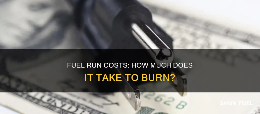how much does fuel run cost