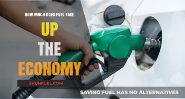 Fuel Costs: A Heavy Burden on the Economy