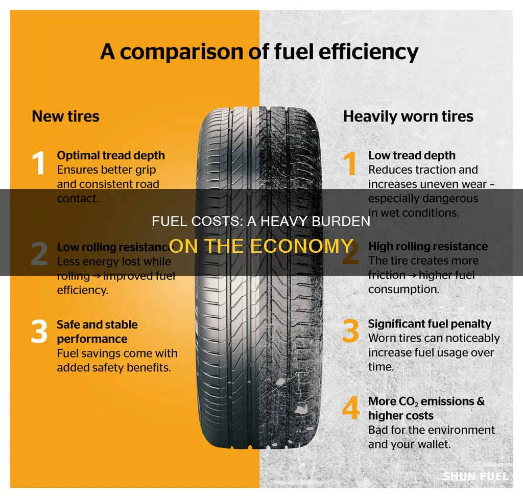 how much does fuel take up the economy