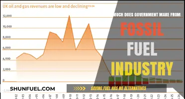 Fossil Fuel Industry: Government Revenue Revealed