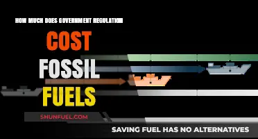 Fossil Fuel Industry: Regulation Costs and Compliance