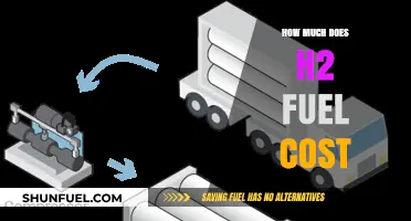 The Expense of Hydrogen Fuel: How Much Does H2 Cost?