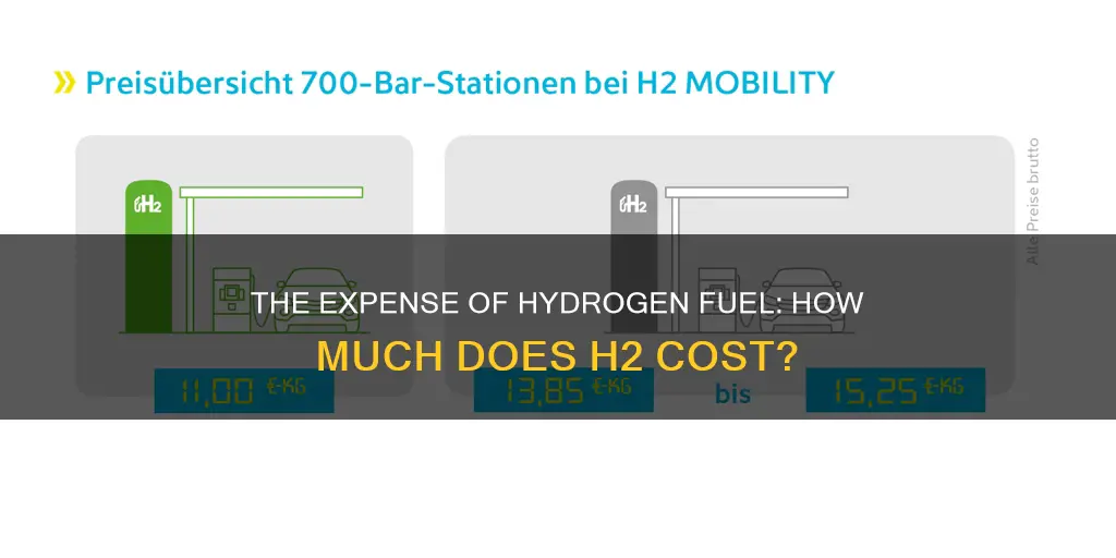 how much does h2 fuel cost
