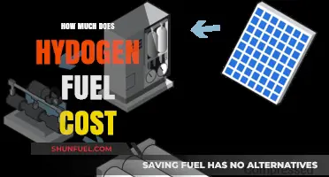 Hydrogen Fuel: The Cost of a Green Future