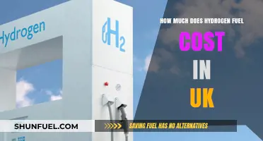 Hydrogen Fuel Cost in the UK: Expensive Energy Source?