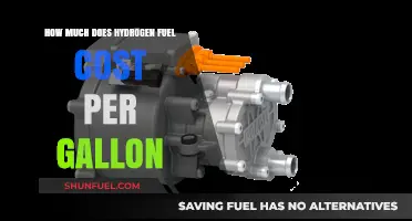 Hydrogen Fuel: Gallon Cost Analysis