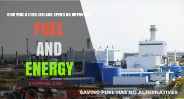 Ireland's Energy Import Expenditure: A Costly Affair