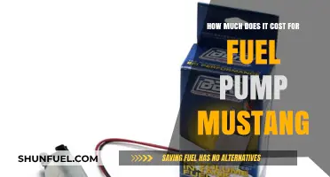 Fuel Pump Replacement Cost for a Mustang