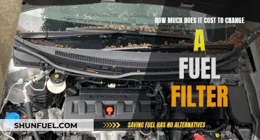 Fuel Filter Replacement: Understanding the Cost and Process