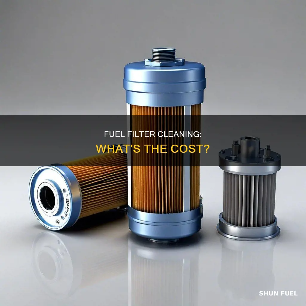 how much does it cost to clean a fuel filter