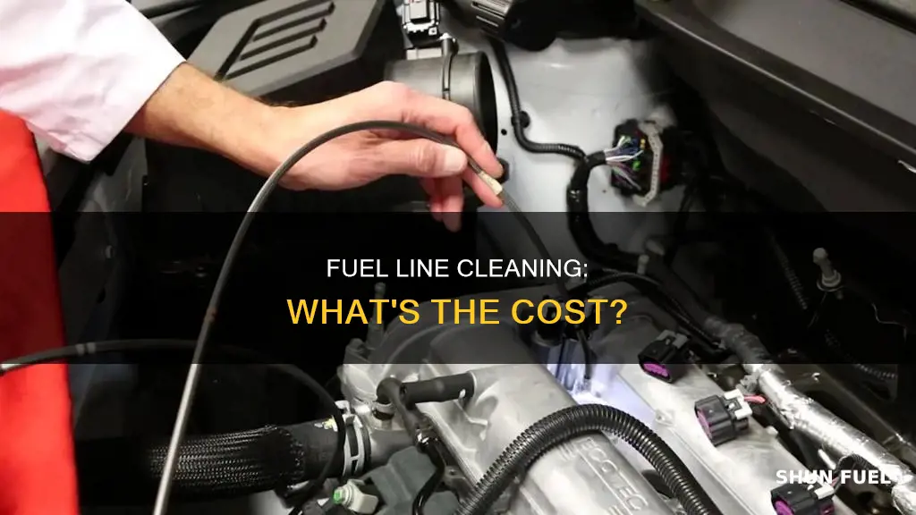 how much does it cost to clean a fuel line
