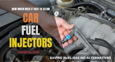 The Cost of Cleaning Car Fuel Injectors: Expensive Maintenance