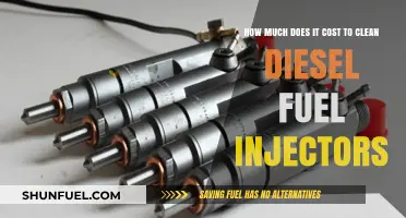 Cleaning Diesel Fuel Injectors: What's the Cost?