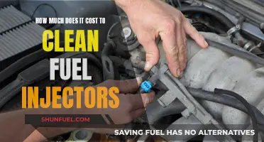 Fuel Injector Cleaning: Cost-Effective Maintenance or Expensive Repair?