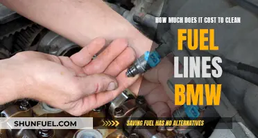 BMW Fuel Line Cleaning: Cost Breakdown & Tips