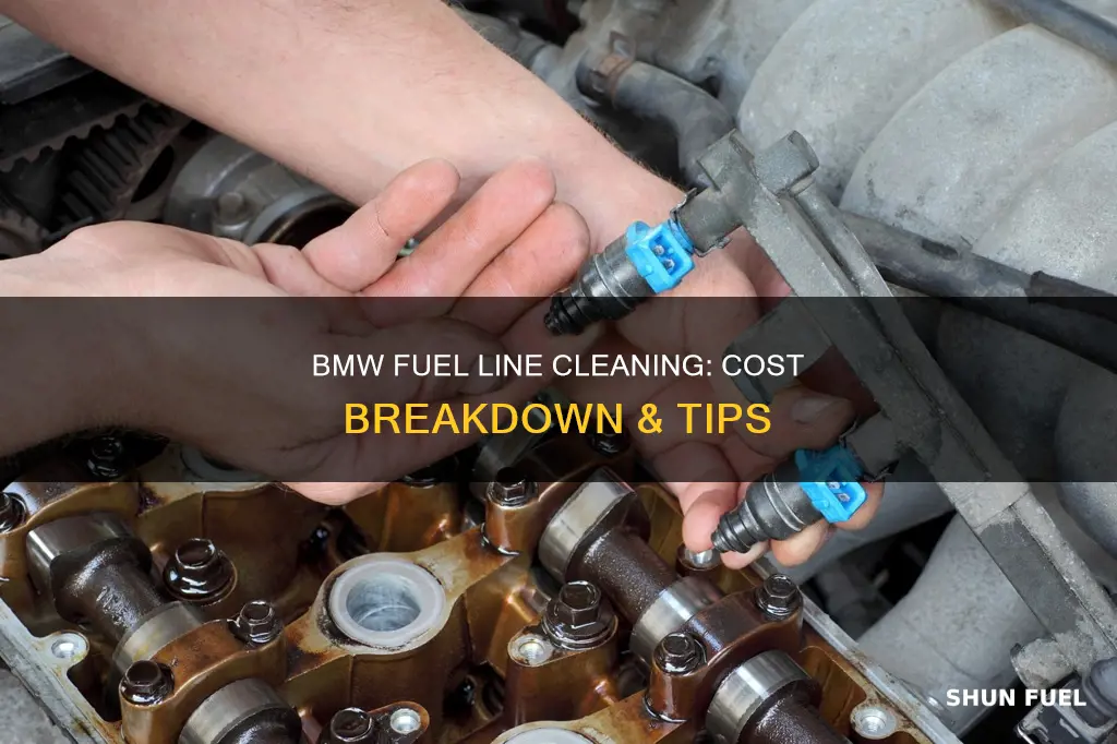 how much does it cost to clean fuel lines bmw