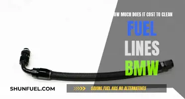 Cleaning BMW Fuel Lines: Cost and Maintenance