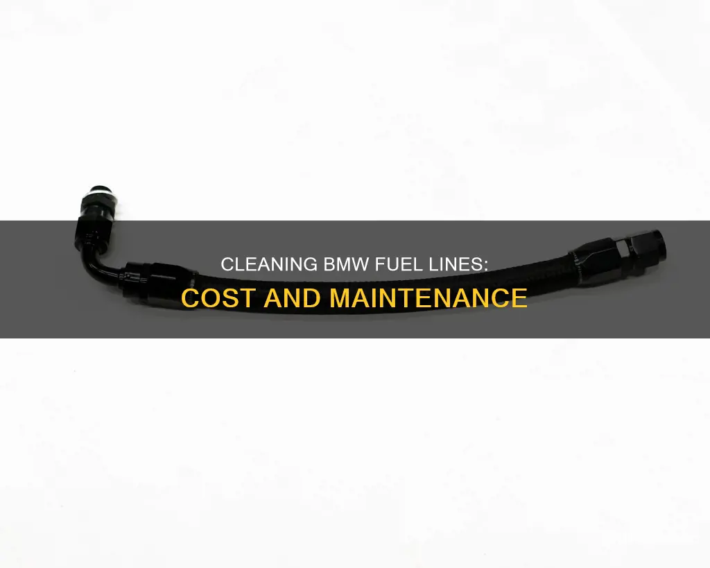 how much does it cost to clean fuel lines bmw