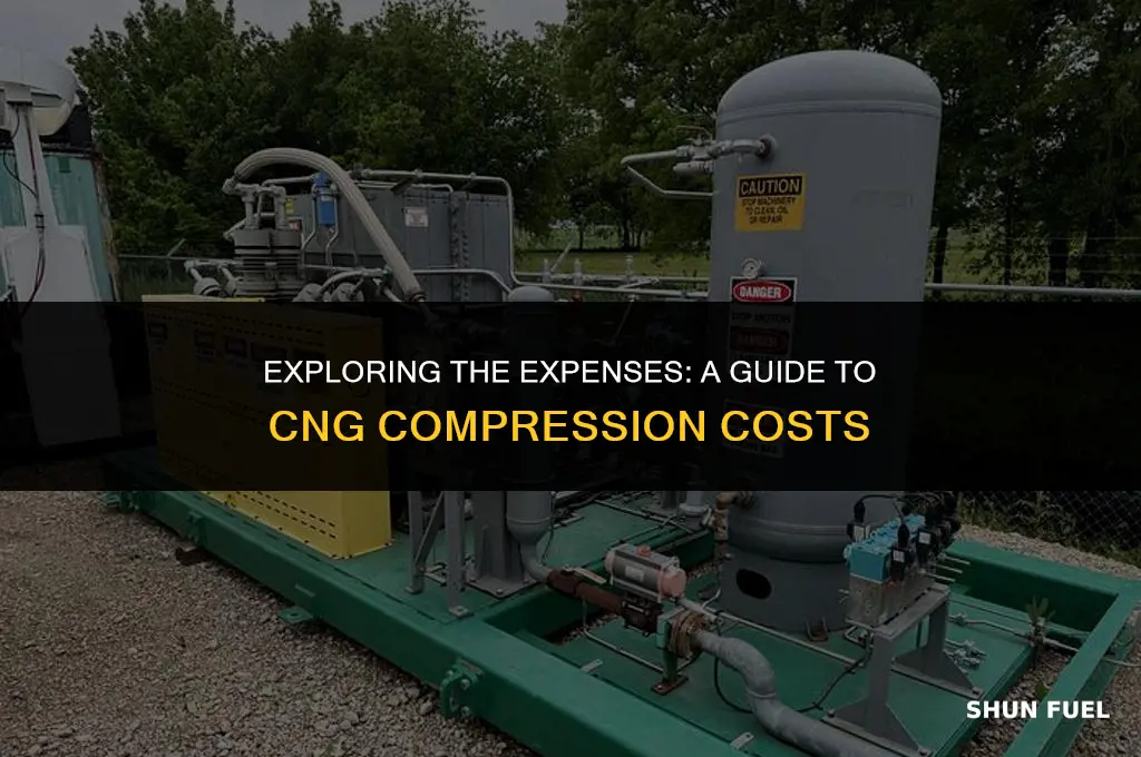 how much does it cost to compress cng