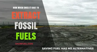 The True Cost of Extracting Fossil Fuels