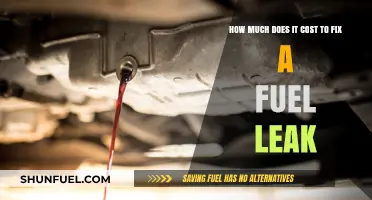 Fuel Leak Repairs: Understanding the Cost and Your Car's Health