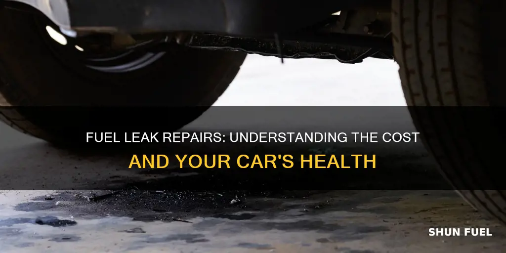 how much does it cost to fix a fuel leak
