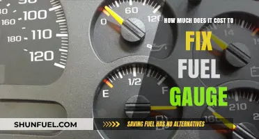 Fuel Gauge Repairs: What's the Cost?