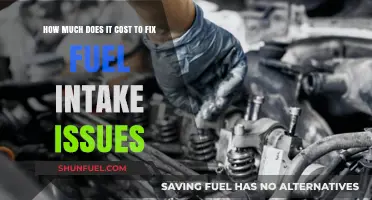 Fuel Intake Issues: Repair Cost Factors