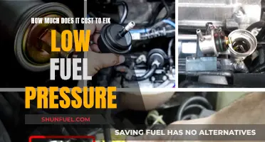 Fixing Low Fuel Pressure: What's the Cost?