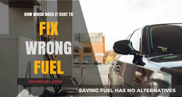 Fixing Wrong Fuel: What's the Cost?