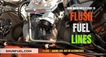 Cost to Flush Fuel Lines: A Breakdown of Expenses