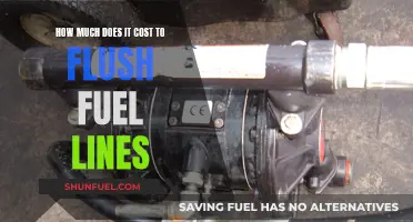 Flushing Fuel Lines: Cost, Benefits, and Maintenance Tips