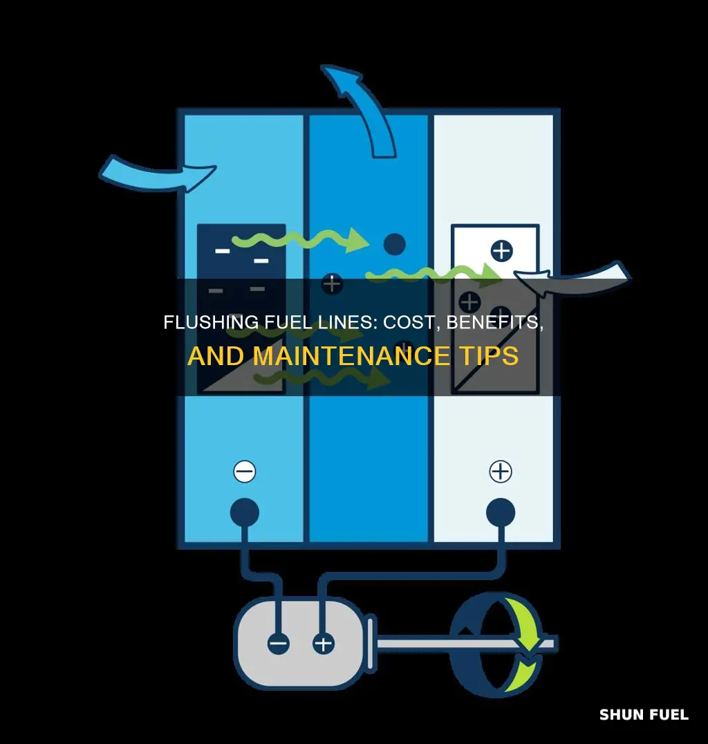 how much does it cost to flush fuel lines
