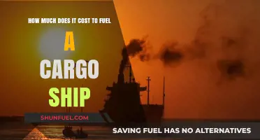 The High Cost of Fueling Cargo Ships