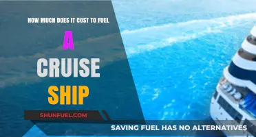 The High Cost of Fueling Cruise Ships