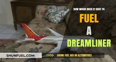 The Dreamliner's Fuel Cost: An Expensive Dream?