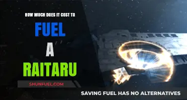 The True Cost of Fueling a Raitaru