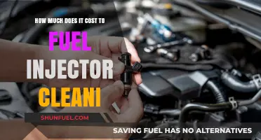 The Cost of Fuel Injector Cleaning Services