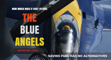 The Blue Angels' Fuel Costs: A Pricey Performance