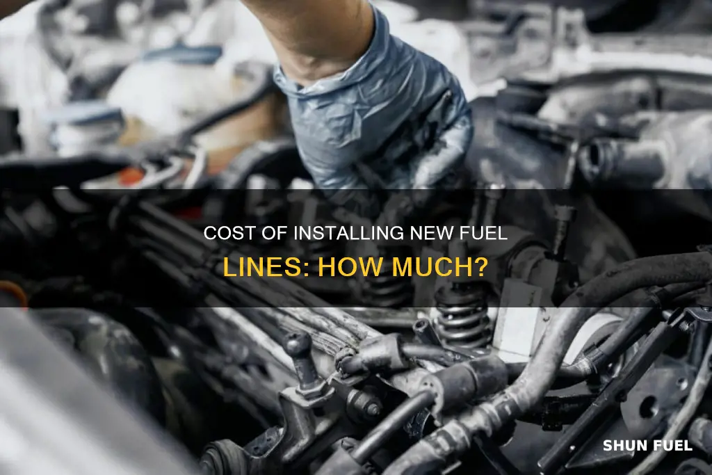how much does it cost to get bew fuel lines