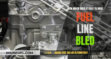 Fuel Line Bleed: Cost Breakdown for a Smooth Ride