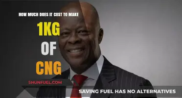 Exploring the Economics: What's the Price Tag for Producing 1kg of CNG?